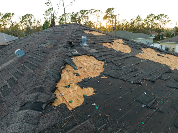 Best Asphalt Shingles Roofing  in Northport, NY