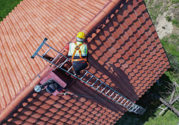 Best Roof Maintenance and Cleaning  in Northport, NY