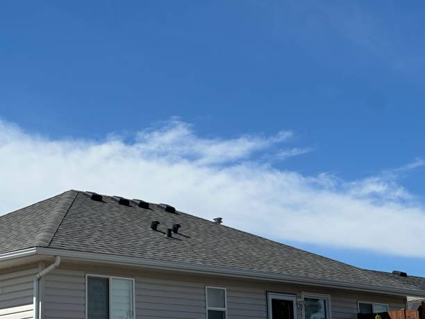 Best Green or Eco-Friendly Roofing Solutions  in Northport, NY